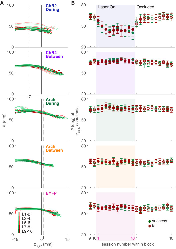 Figure 9—figure supplement 3.