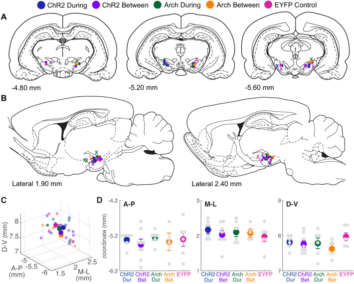 Figure 1—figure supplement 2.