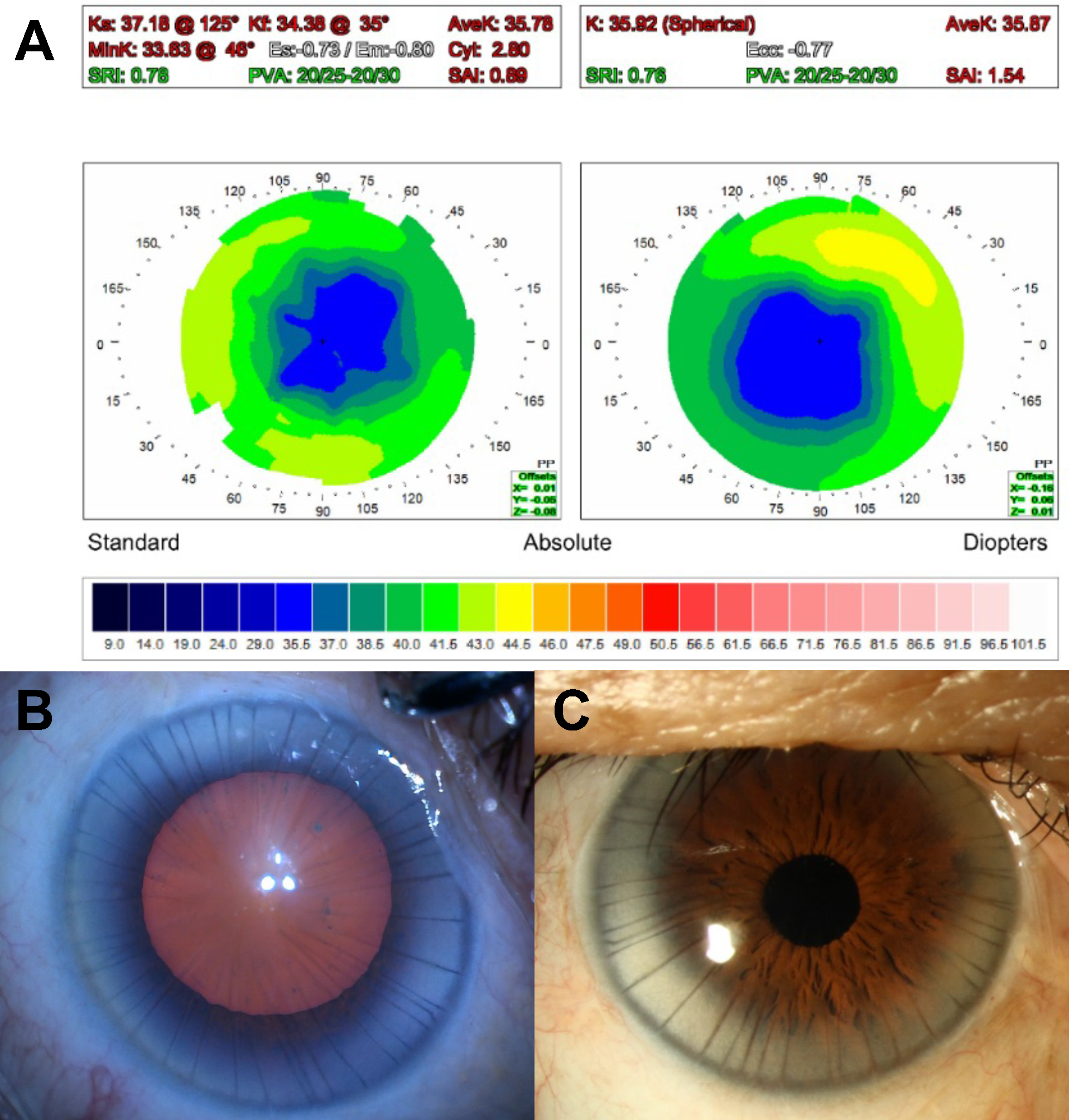 Figure 1: