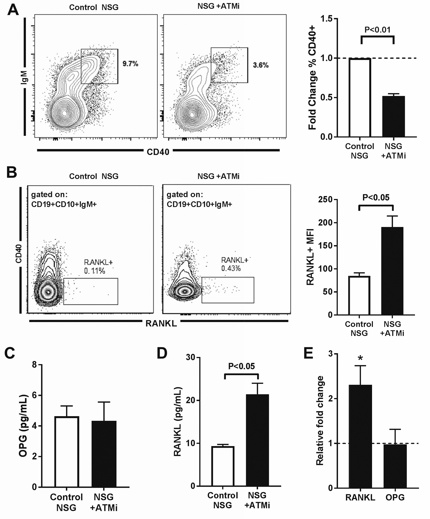 Fig. 8.