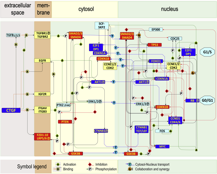 Figure 5