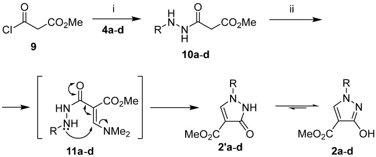 Scheme 3