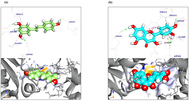 Figure 10