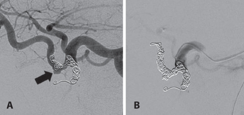 Figure 2)