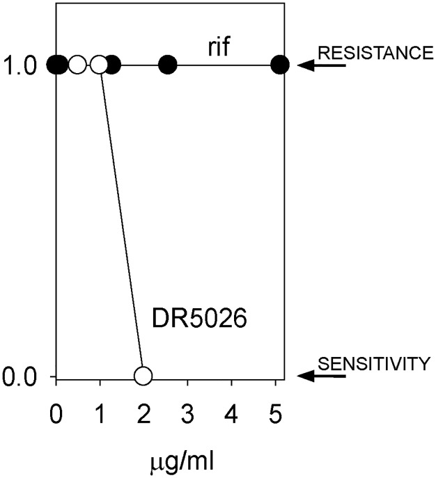 Fig 10