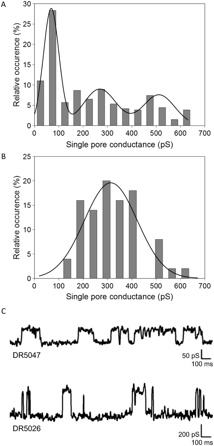 Fig 6