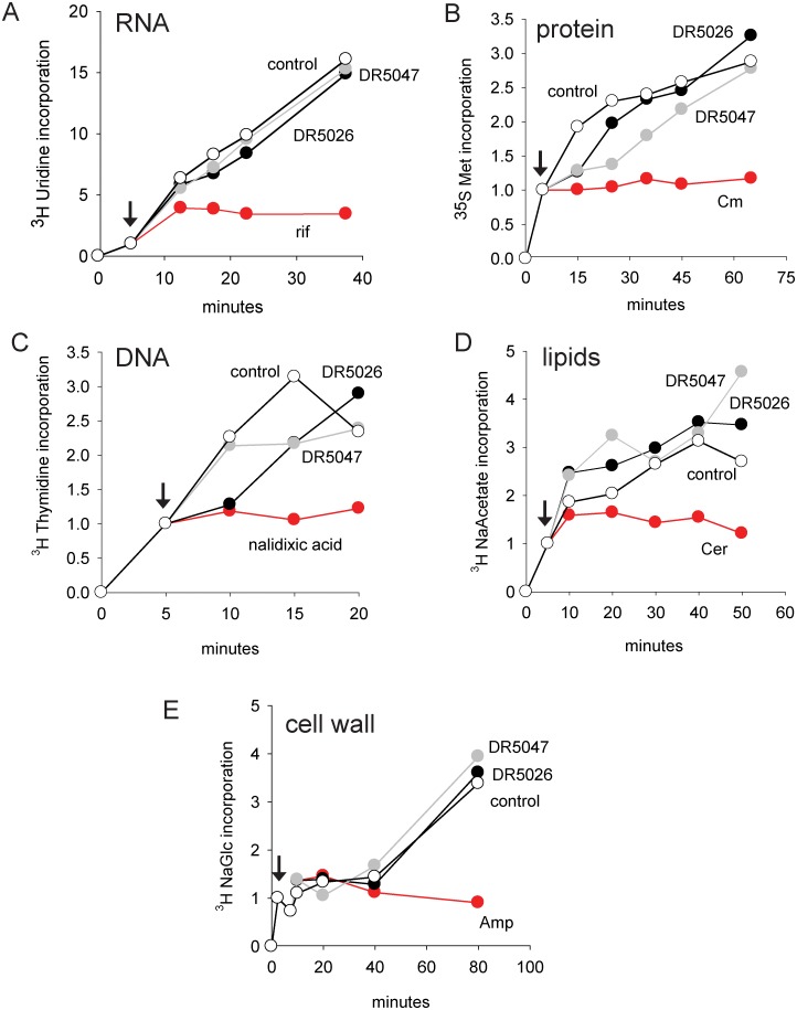 Fig 2