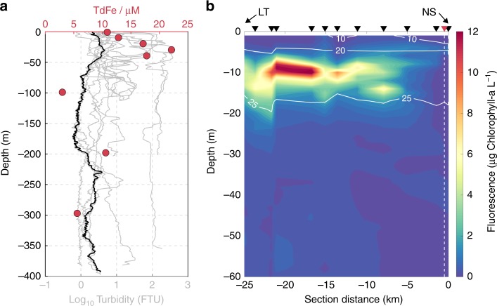 Fig. 2