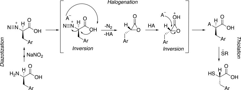 Scheme 2