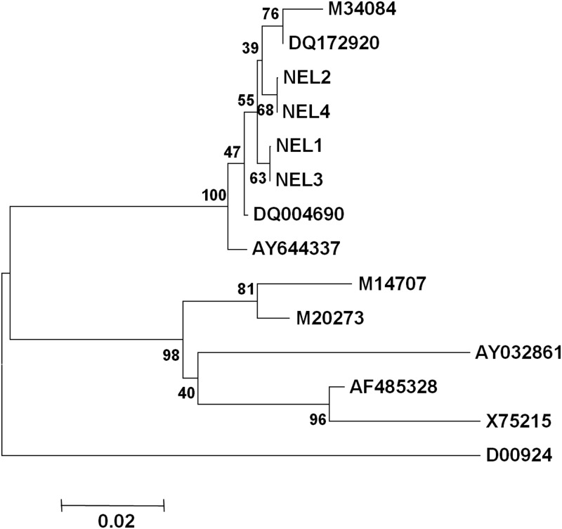 Fig. 3.