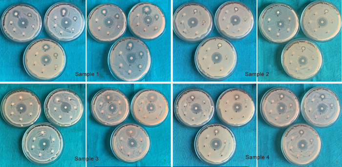 Fig. 2: