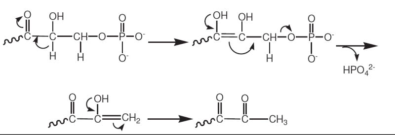 Scheme 4