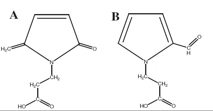 Scheme 8