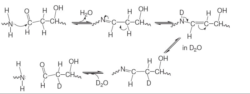 Scheme 5