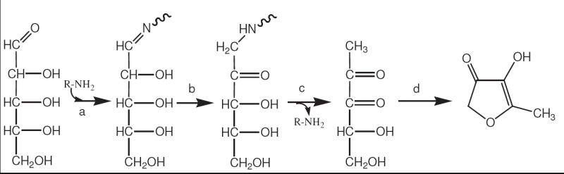 Scheme 6