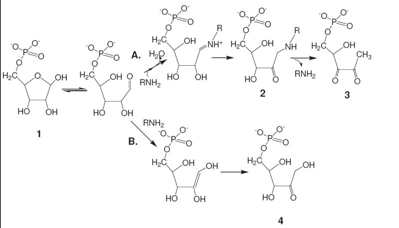 Scheme 1