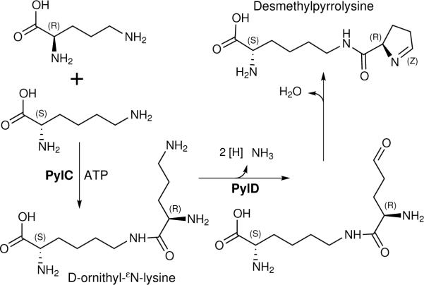 Fig. 3