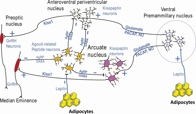 Figure 2.