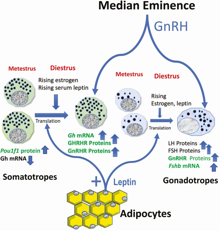 Figure 3.