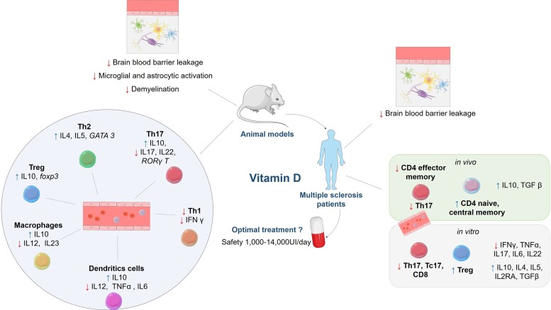 Graphical Abstract