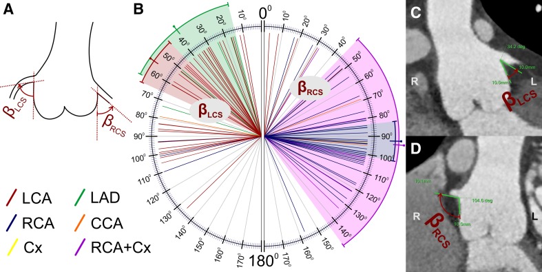 Fig. 6