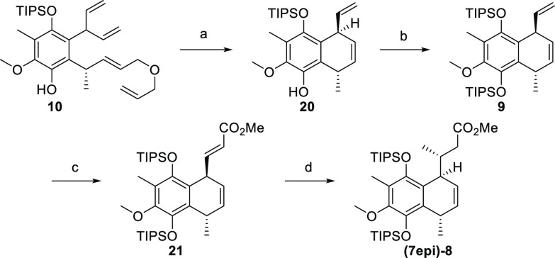 Scheme 3