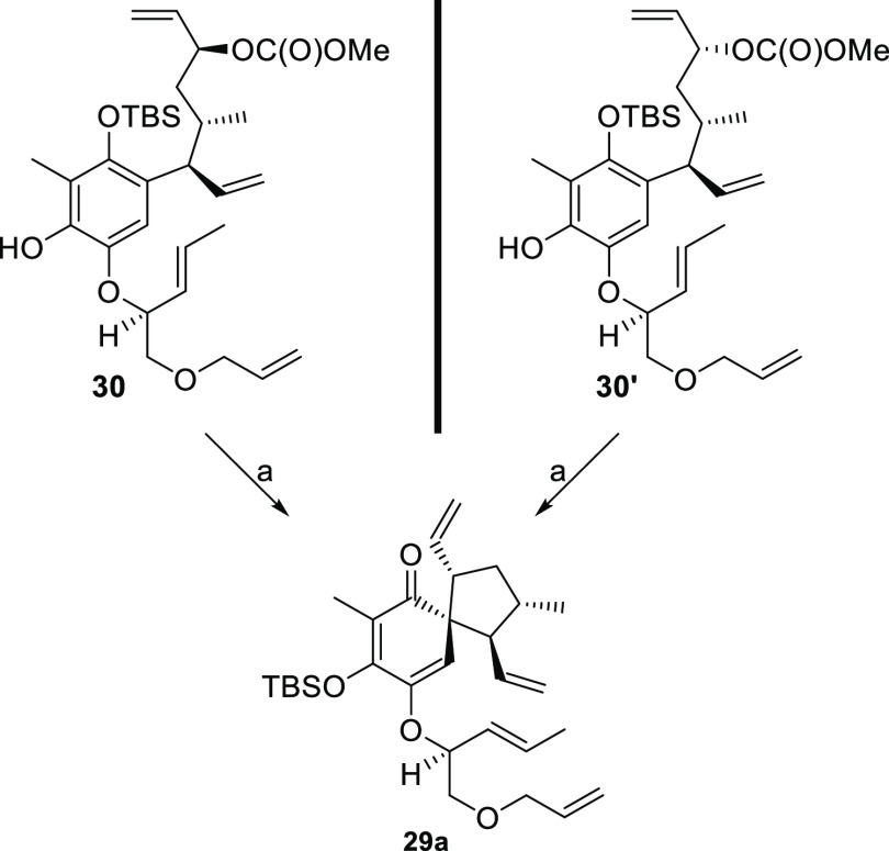 Scheme 12