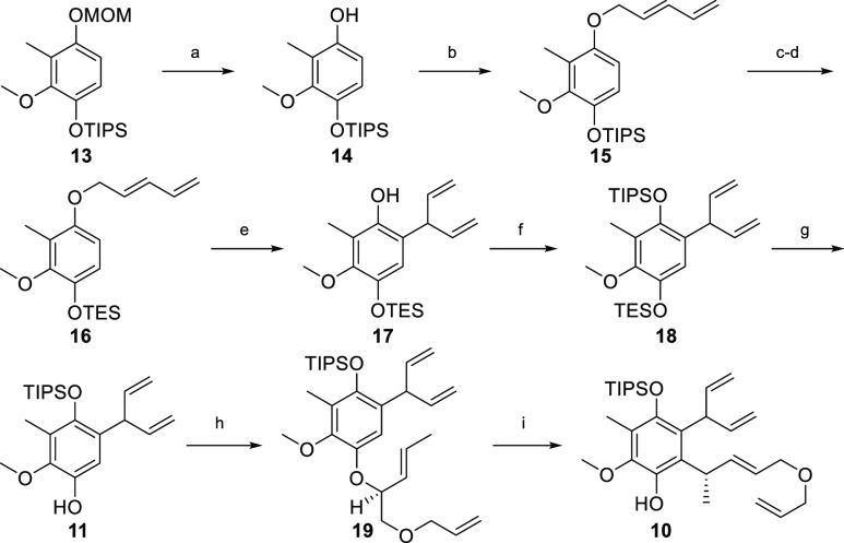 Scheme 2