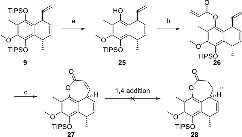 Scheme 7