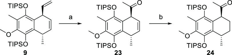 Scheme 5