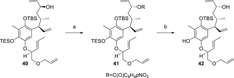 Scheme 13