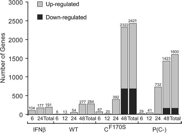 FIG. 2.