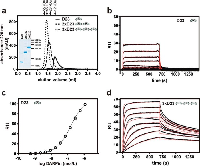 FIGURE 4.