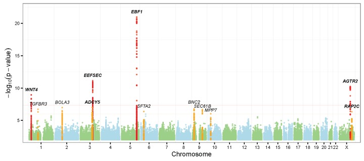 Figure 1. Manhattan plots of discovery stage genomewide-associated results.