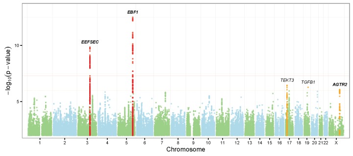 Figure 1. Manhattan plots of discovery stage genomewide-associated results.