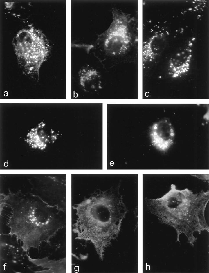 FIG. 6