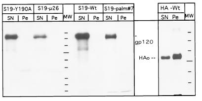 FIG. 8