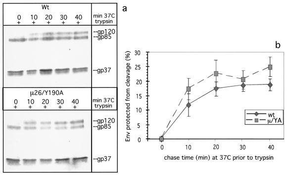 FIG. 7