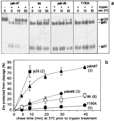 FIG. 5