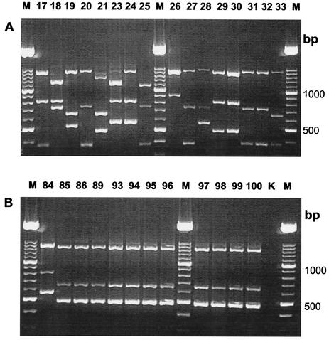 FIG. 5.