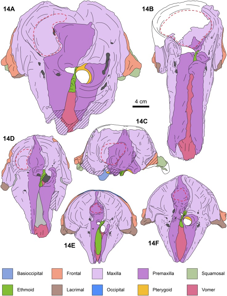 Fig 14