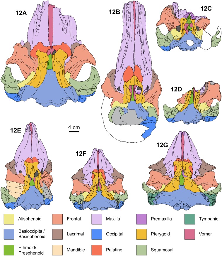 Fig 12