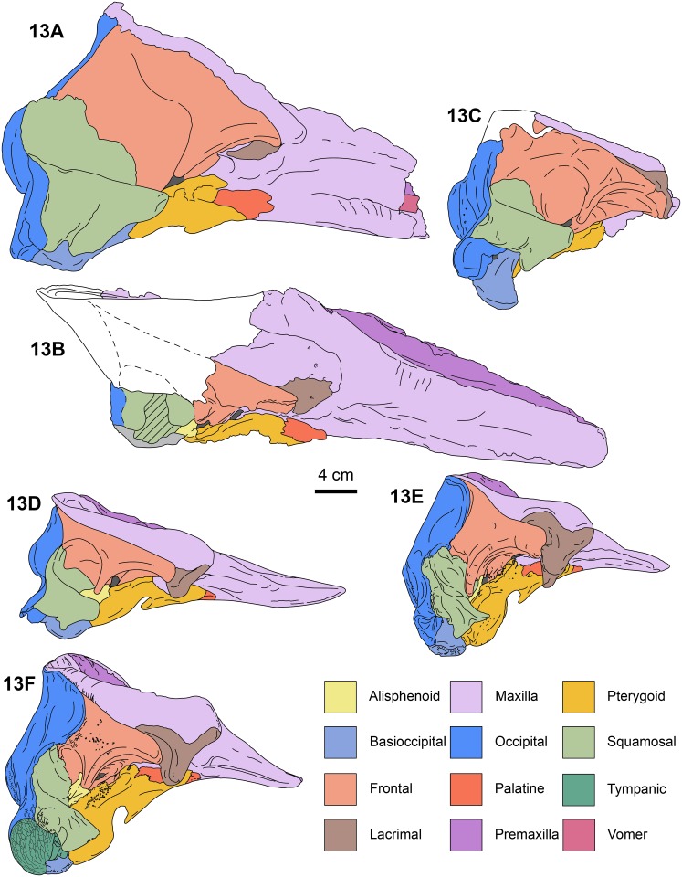 Fig 13