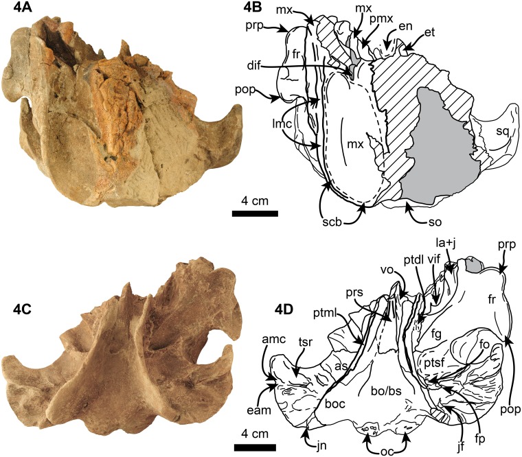 Fig 4