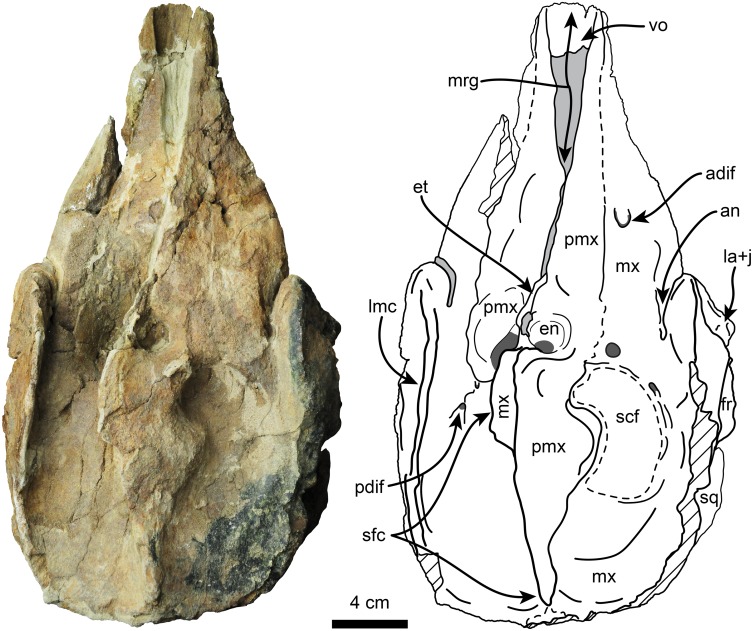 Fig 2