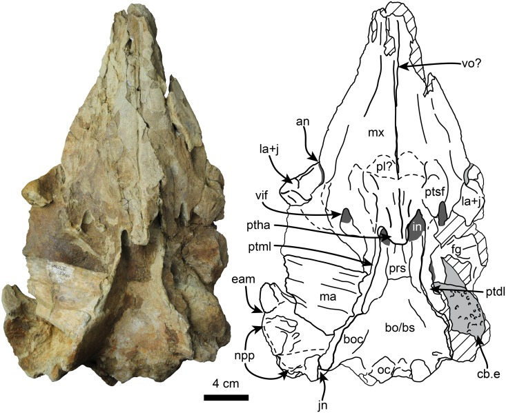 Fig 3