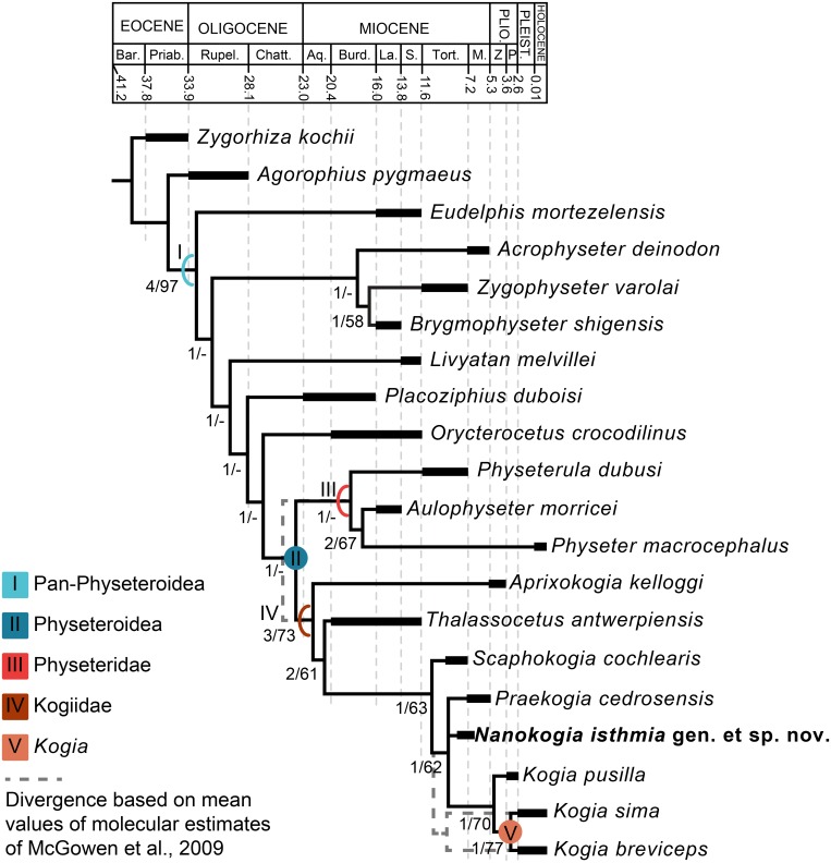 Fig 10