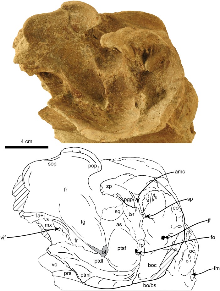 Fig 5