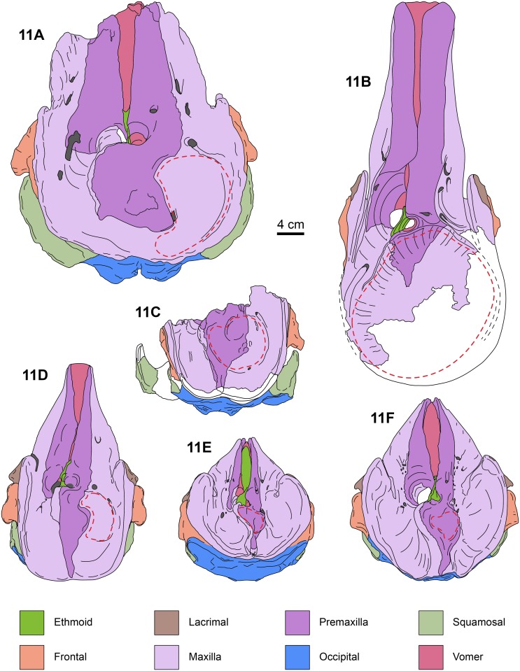 Fig 11