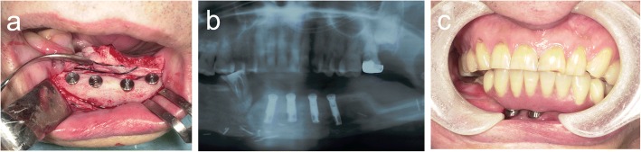 Fig. 7